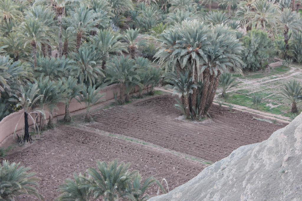 Bed and Breakfast Kasbah Itrane Tamnougalt Zewnętrze zdjęcie